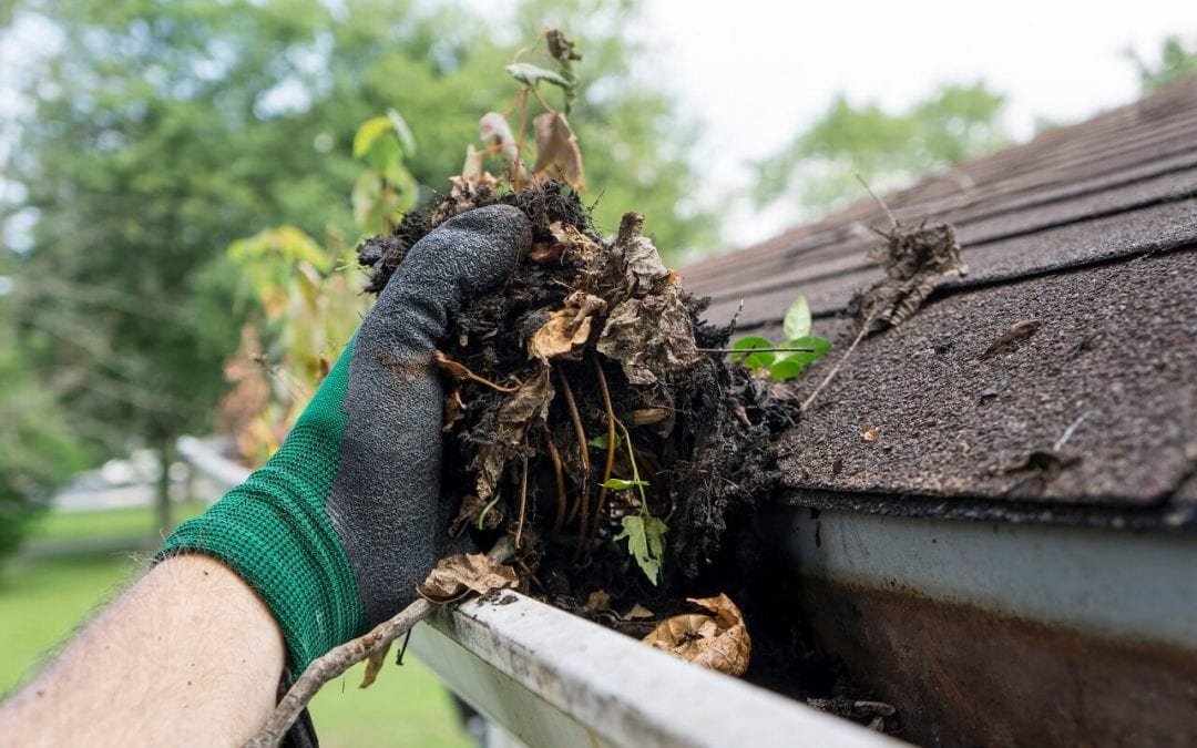 spring home maintenance involves cleaning the gutters